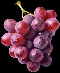 grožđe